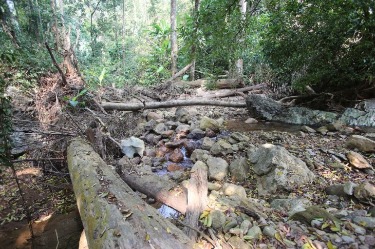 2e145-sondoong_hangen_14